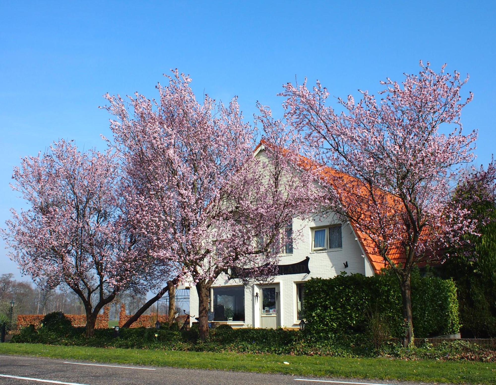 B&B Sagenland Harbrinkhoek Exterior photo